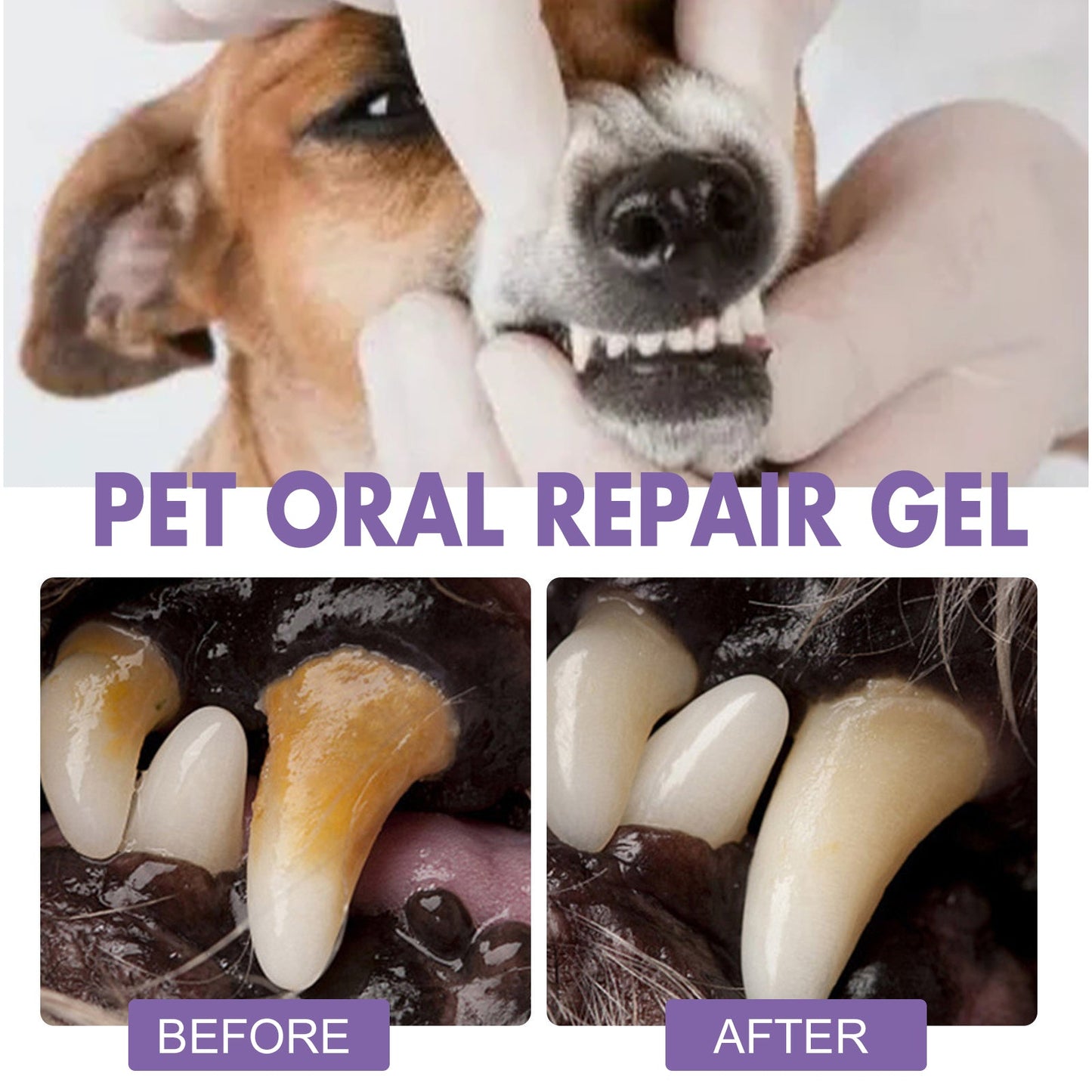 Yegbong Pet Oral Repair Gel(2pcs) Deep cleaning of dog and cat teeth, oral hygiene care