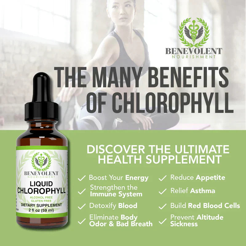 Benevolent Nourishment, Liquid Chlorophyll- Alcohol Free-2 fl oz-Shop