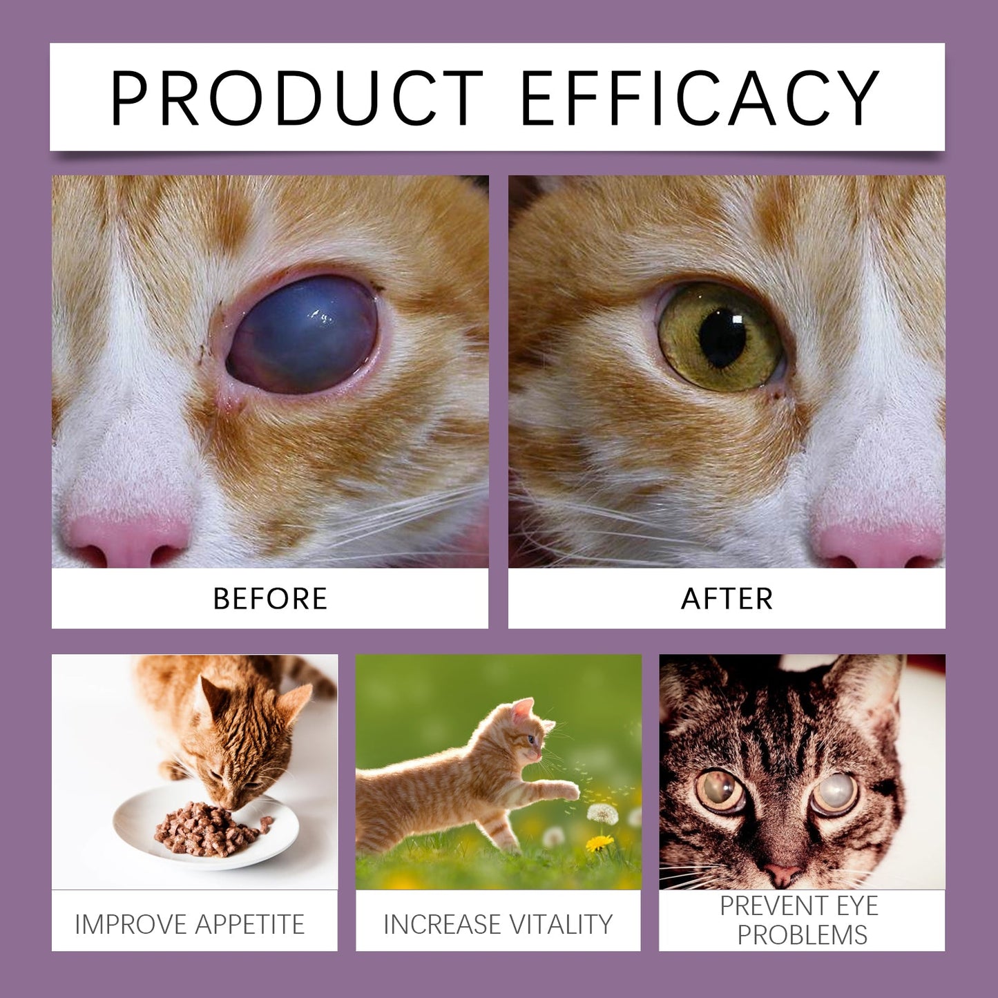 Yegbong Compound Taurine Tablets for Cats Pet nutritional supplement multi-vitamin taurine tablets for cats