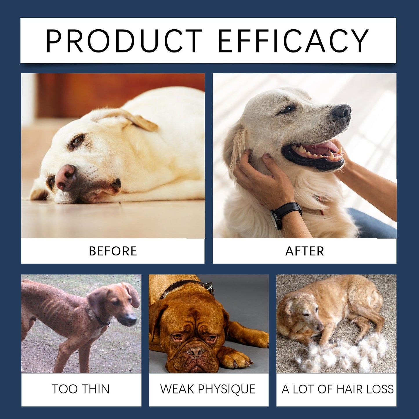 Yegbong Food supplements for dogs Immune-boosting dietary supplement to promote dog vitality and health