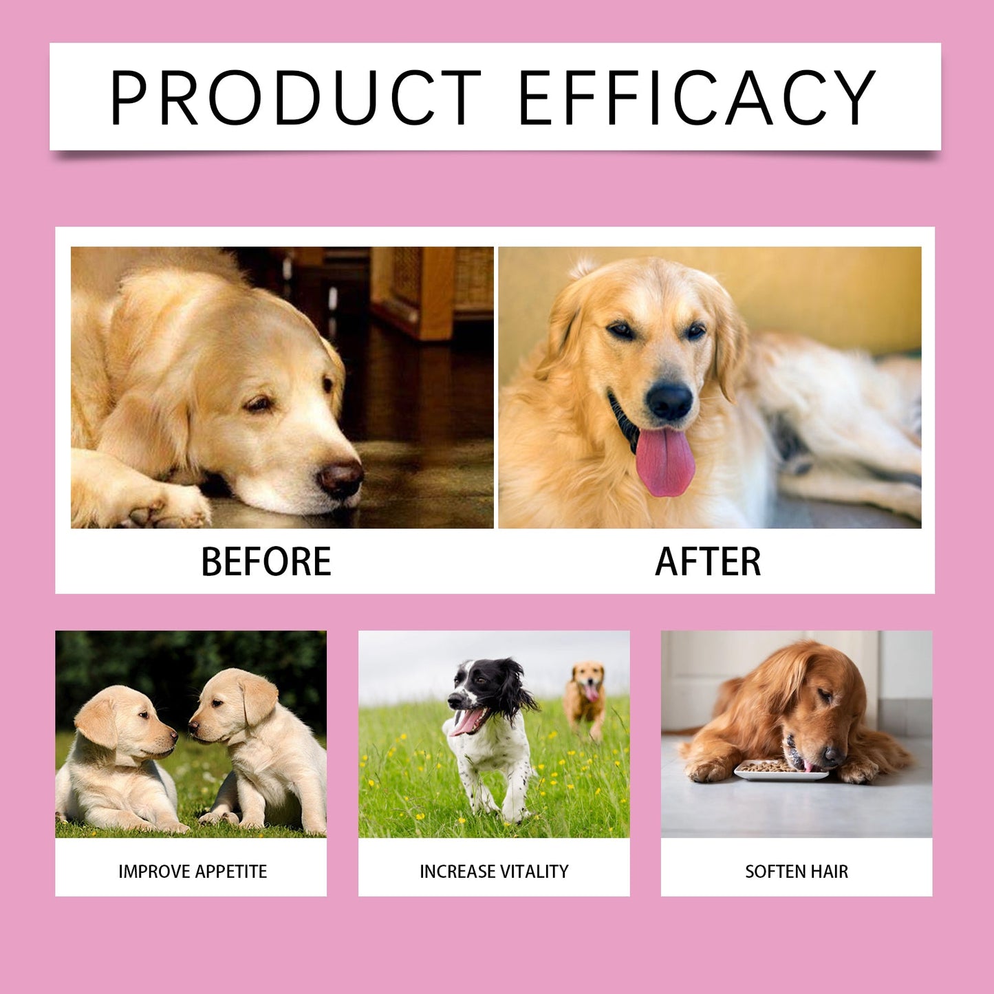 Yegbong Probiotic tablets for dogs Improve intestinal health, balance digestion and absorption, pet nutritional supplements