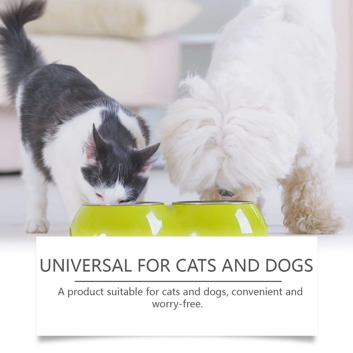 Yegbong Pet Probiotic Tablets Improves intestinal health, promotes nutrient absorption, pet care supplement