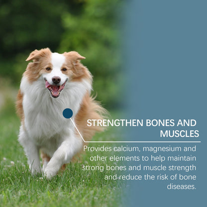 Yegbong Trace element tablets for dogs Supports nerve function and promotes overall health by supplementing calcium and magnesium
