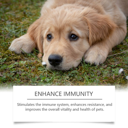 Yegbong Food supplements for dogs Immune-boosting dietary supplement to promote dog vitality and health