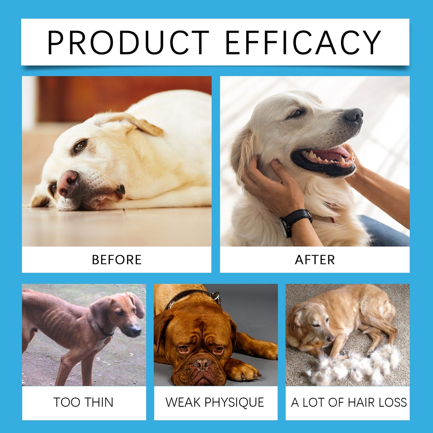 Yegbong Syrup for dogs Special nutritional supplement syrup for pets and dogs to absorb nutrients and protect their health