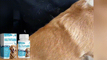 Yegbong Multivitamin tablets for dogs Special nutritional supplements for cats and dogs