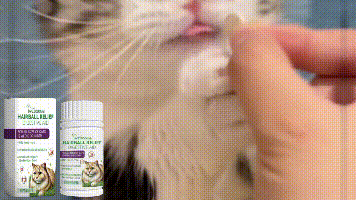 Yegbong Cat grass tablets Nourishing and health-preserving tablets rich in dietary fiber for cats and dogs