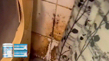 Jakehoe Tile cleaning tablets Toilet, bathtub, toilet bowl, washbasin, floor, wall, tiles - decontamination and cleaning
