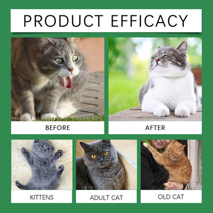 Yegbong Pet Cat Multivitamin Tablets Vitamin and trace element nutritional supplements for cats