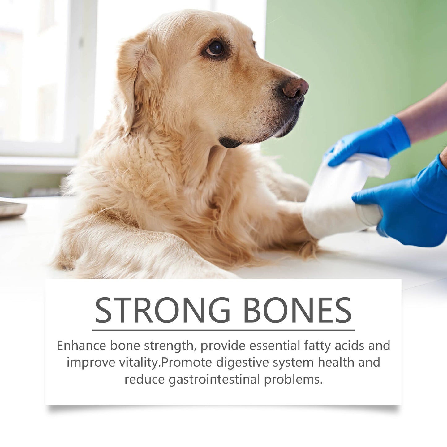 Yegbong Multivitamin Fish Oil Tablets for Dogs Pet dog hair care, moisturizes the skin, and protects pet health
