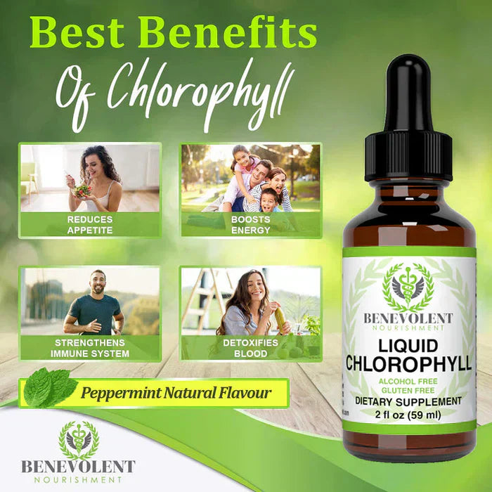 Benevolent Nourishment, Liquid Chlorophyll- Alcohol Free-2 fl oz-Shop