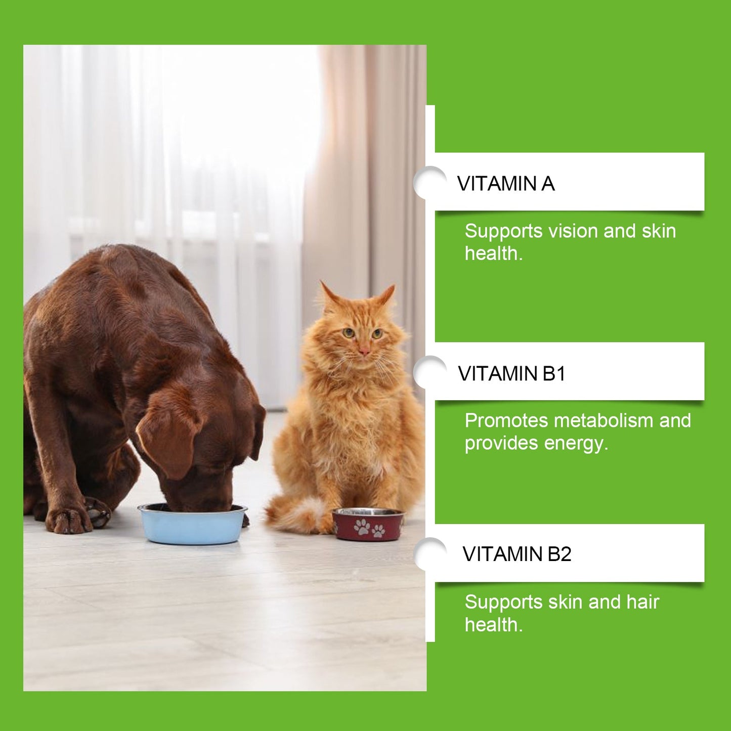 Yegbong Pet Probiotic Tablets Improves intestinal health, promotes nutrient absorption, pet care supplement