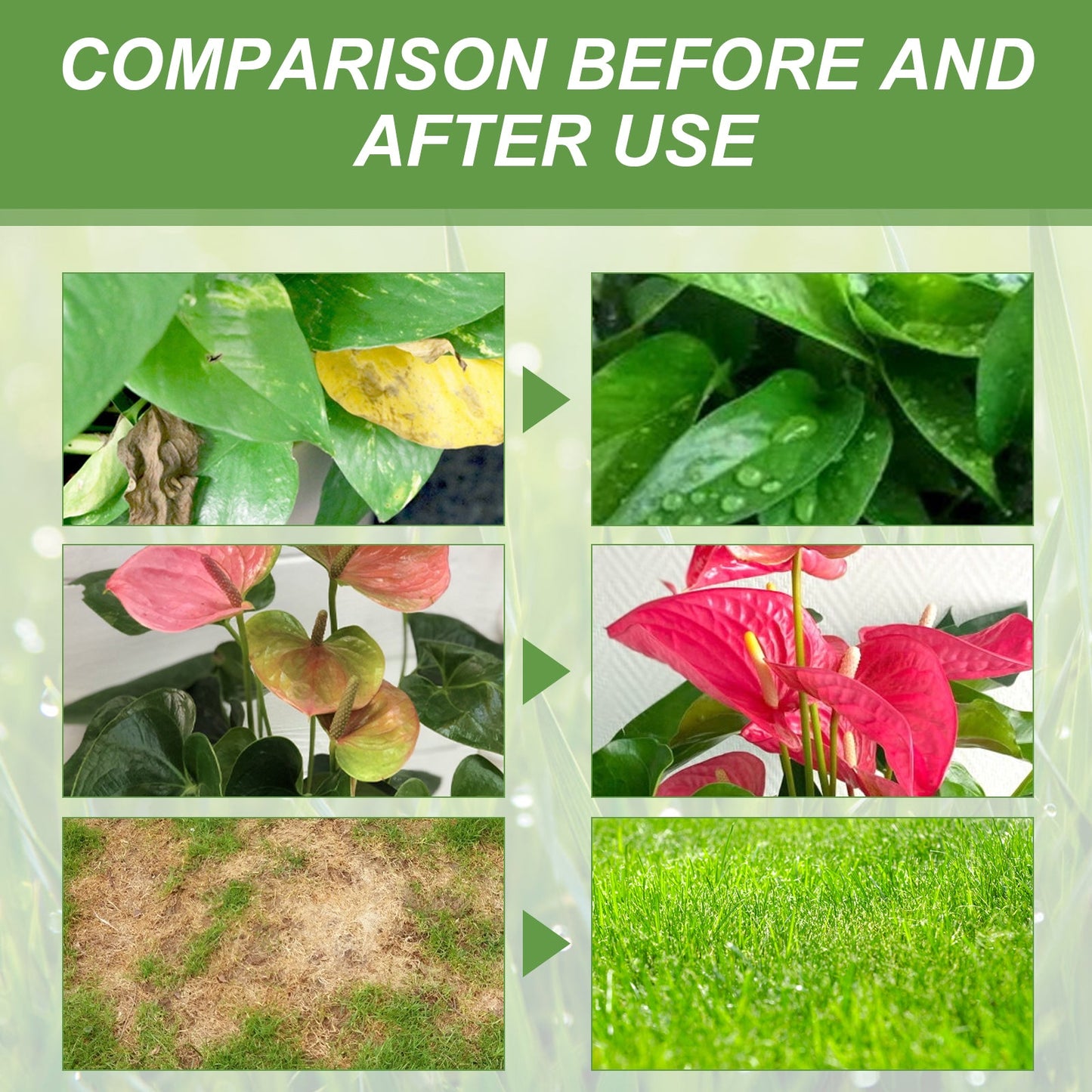 Yegbong Plant Nutrients Flower pot plants, lawn, green leaf plants, fertilizer, root growth nutrient