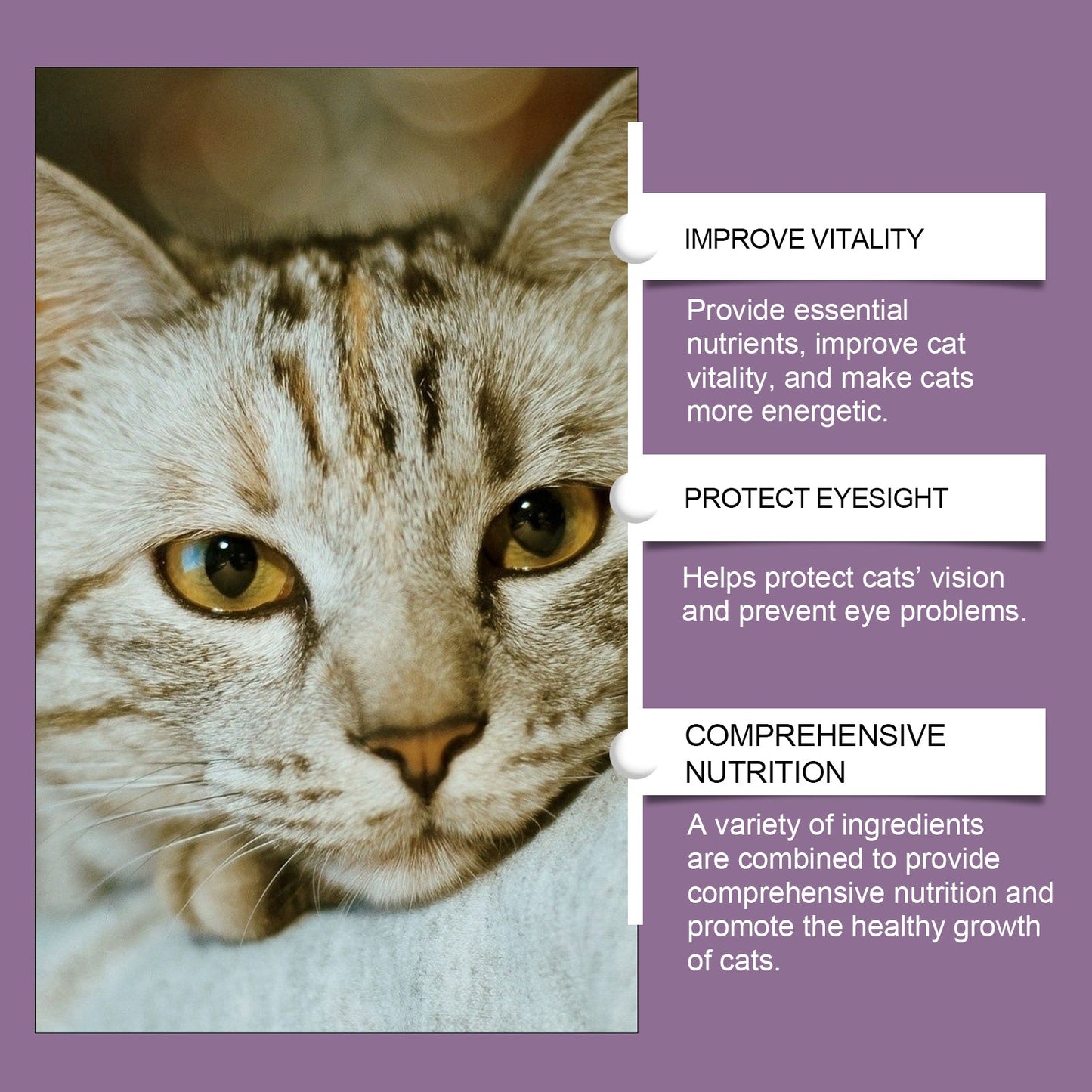 Yegbong Compound Taurine Tablets for Cats Pet nutritional supplement multi-vitamin taurine tablets for cats