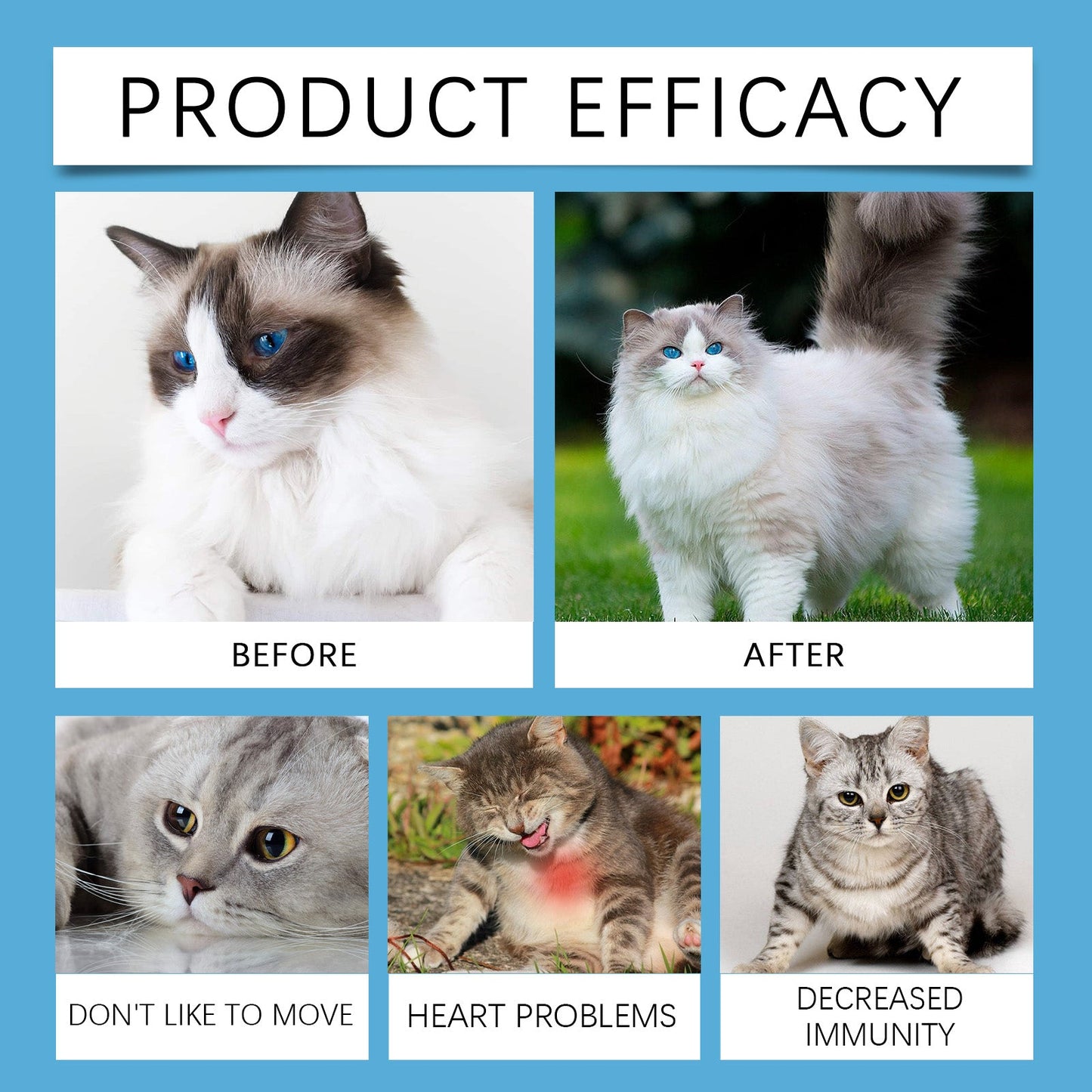 Yegbong Coenzyme tablets for cats Coenzyme specifically designed to protect the health and vitality of cats Q10Absorbent Nutritional Supplement