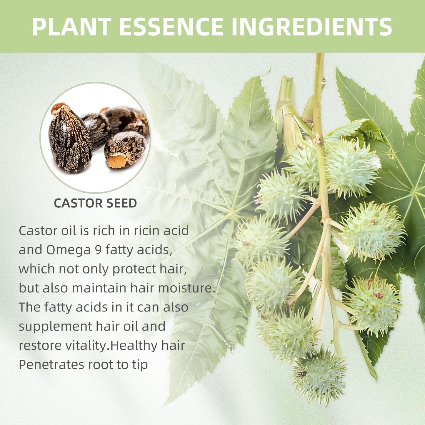 eelhoe Castor Oil Hair Thickening Capsules Repair hair damage, nourish, smooth, shine and strengthen hair, hair care capsules