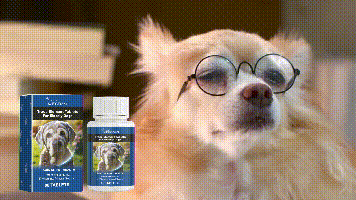 Yegbong Trace element tablets for elderly dogs Nerve-stimulating calcium supplement for overall health and care for elderly dogs