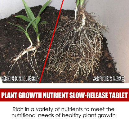 Yegbong Plant Growth Nutrient Slow-Release Tablets Universal Nutrient Tablets for Root Growth in Fruit and Vegetable Plants