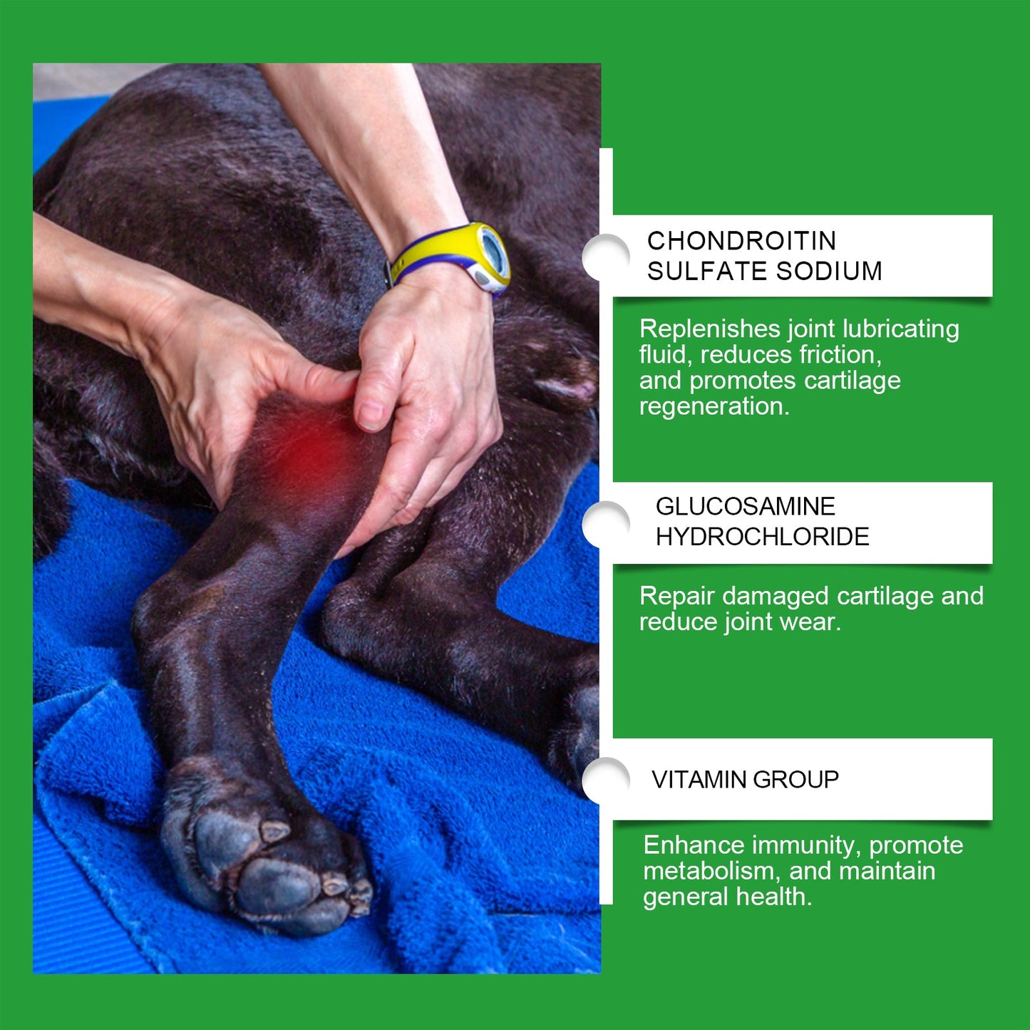 Yegbong Joint care tablets for dogs Joint care tablets for pets and dogs enhance vitality and provide nutritional supplements