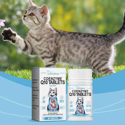 Yegbong Coenzyme tablets for cats Coenzyme specifically designed to protect the health and vitality of cats Q10Absorbent Nutritional Supplement