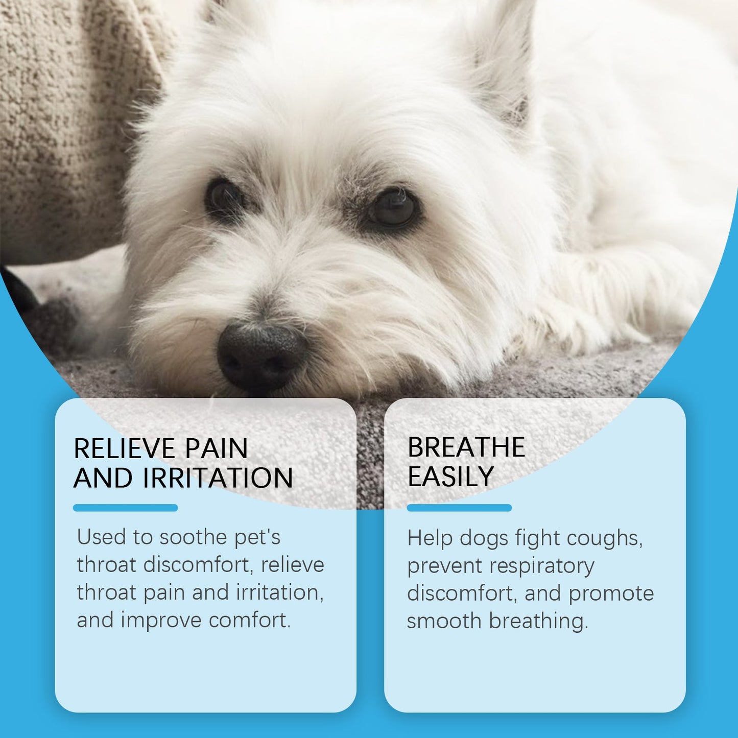 Yegbong Syrup for dogs Special nutritional supplement syrup for pets and dogs to absorb nutrients and protect their health