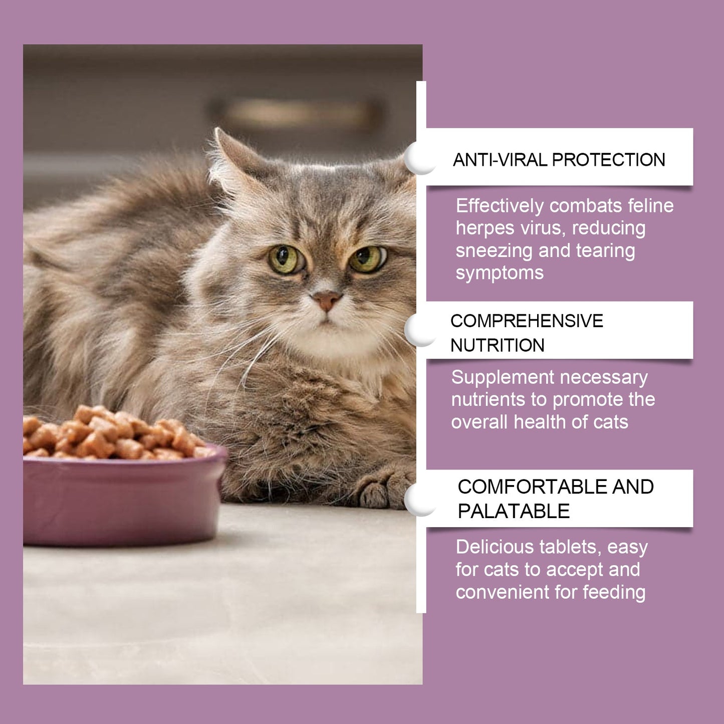 Yegbong Cat ammonia L-Lysine tablets Pet cat body care to maintain the cat's good health