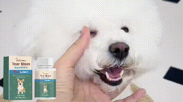 Yegbong Tear stain tablets for dogs Gentle cleaning tablets for pet dogs' tear stains and eye dirt