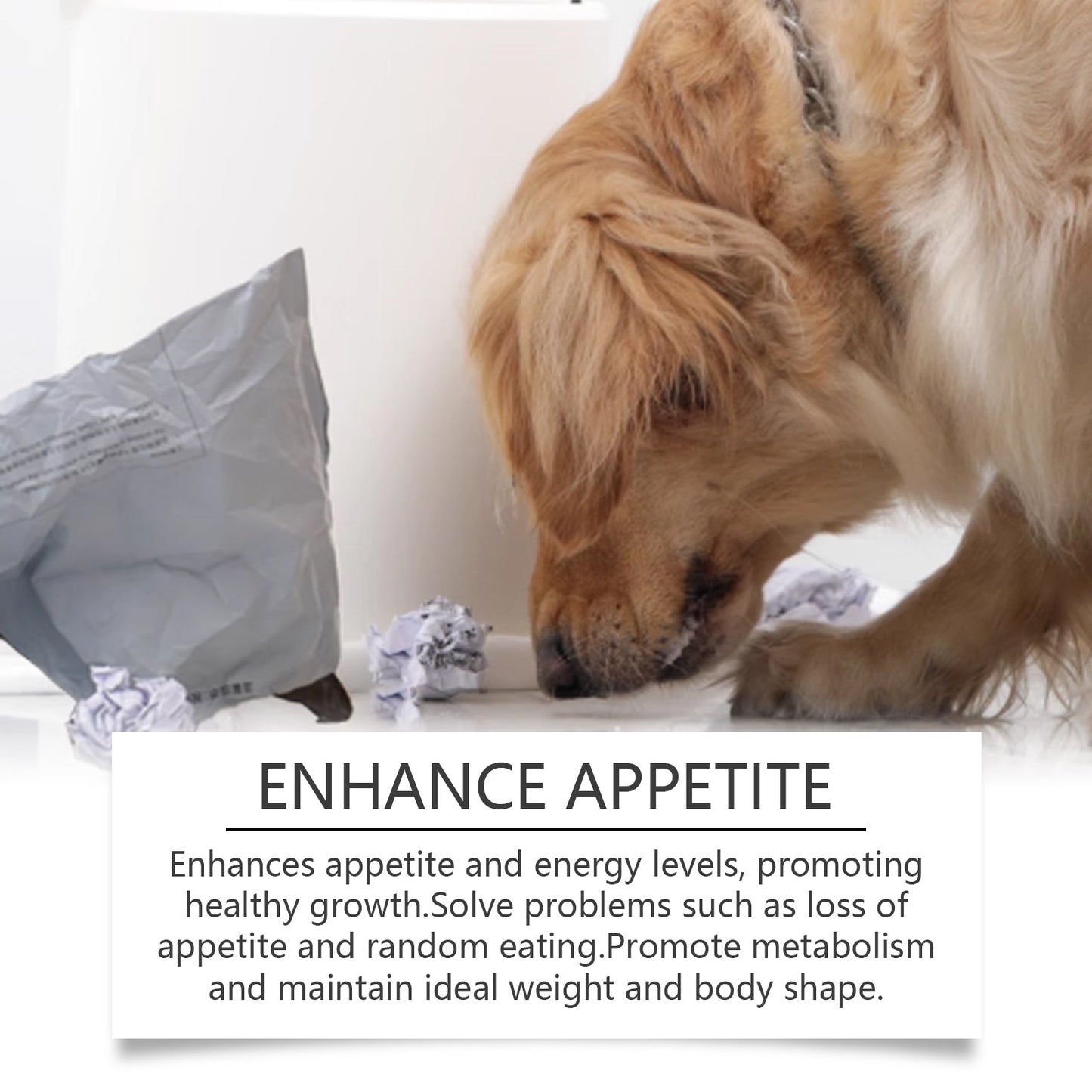 Yegbong Trace element tablets for dogs Supports nerve function and promotes overall health by supplementing calcium and magnesium