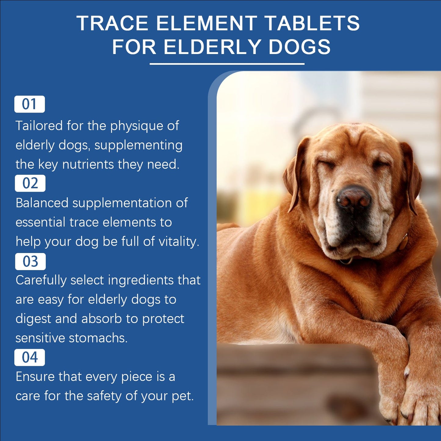 Yegbong Trace element tablets for elderly dogs Nerve-stimulating calcium supplement for overall health and care for elderly dogs