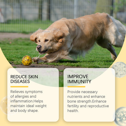 Yegbong Multivitamin Fish Oil Tablets for Dogs Pet dog hair care, moisturizes the skin, and protects pet health