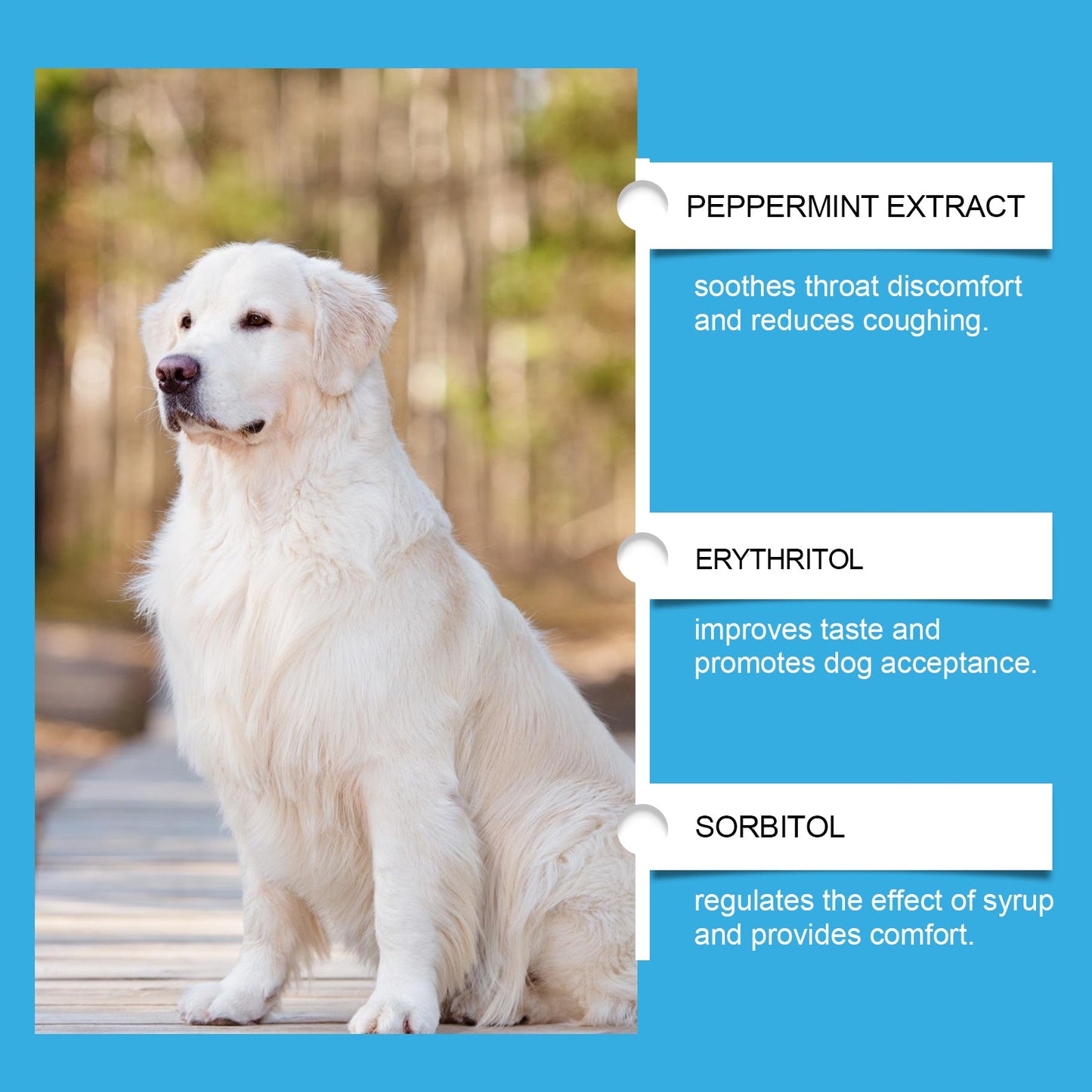 Yegbong Syrup for dogs Special nutritional supplement syrup for pets and dogs to absorb nutrients and protect their health