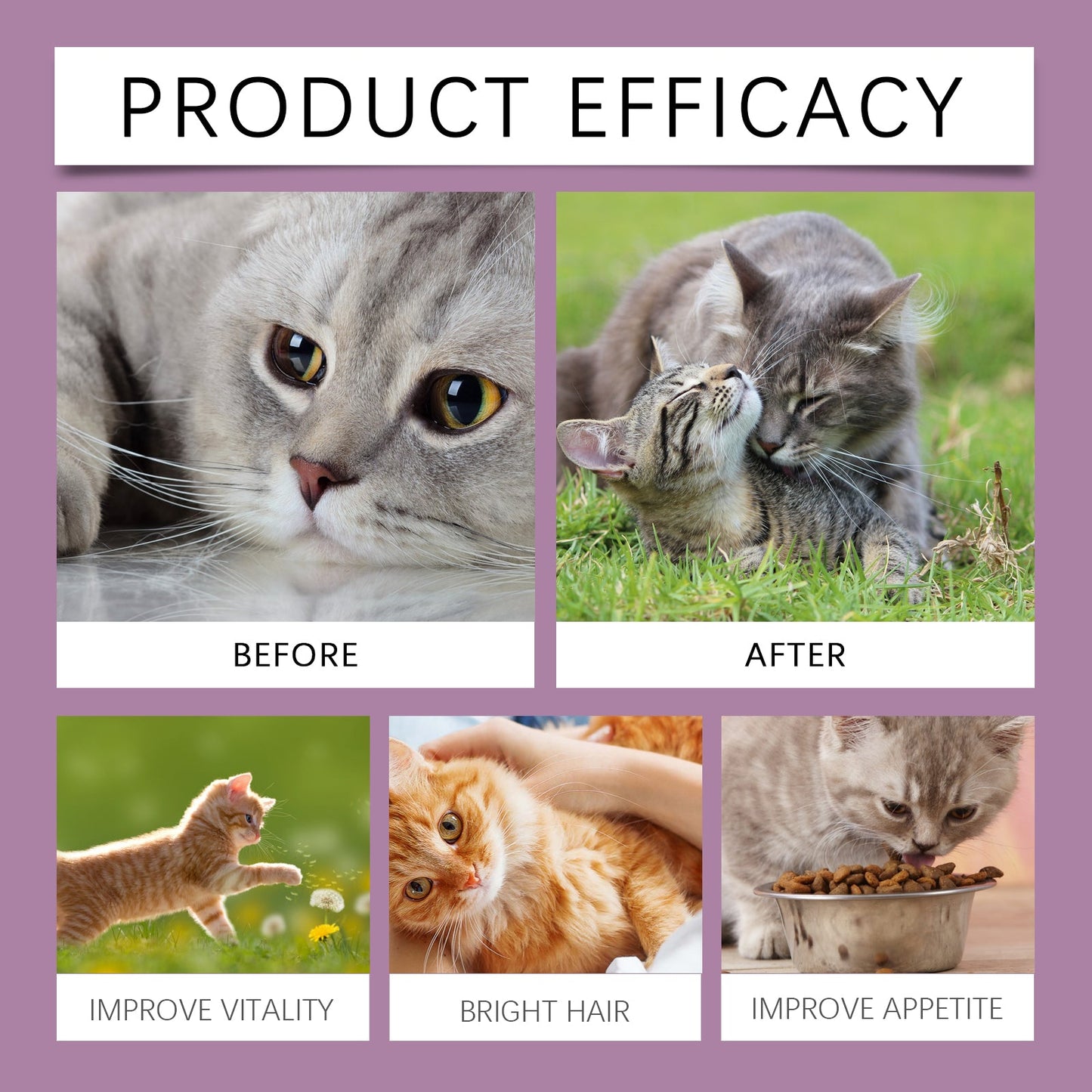Yegbong Cat ammonia L-Lysine tablets Pet cat body care to maintain the cat's good health