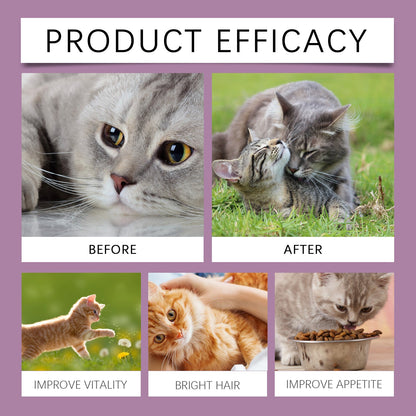 Yegbong Cat ammonia L-Lysine tablets Pet cat body care to maintain the cat's good health