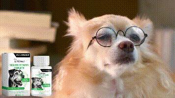 Yegbong Nutritional Vitamin Tablets for Middle-Aged and Elderly Dogs Provides comprehensive nutritional support to promote health and wellness food