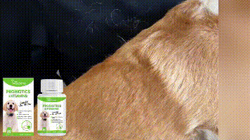 Yegbong Pet Probiotic Tablets Improves intestinal health, promotes nutrient absorption, pet care supplement