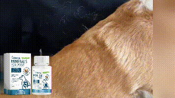 Yegbong Trace element tablets for dogs Supports nerve function and promotes overall health by supplementing calcium and magnesium