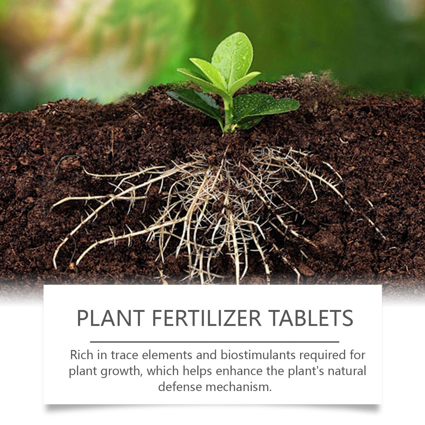 MoonSpry Organic Slow-release Fertilizer Tablets Concentrated Fertilizer Effervescent Tablets for Nutritious Plant Growing in Green Plant Pots
