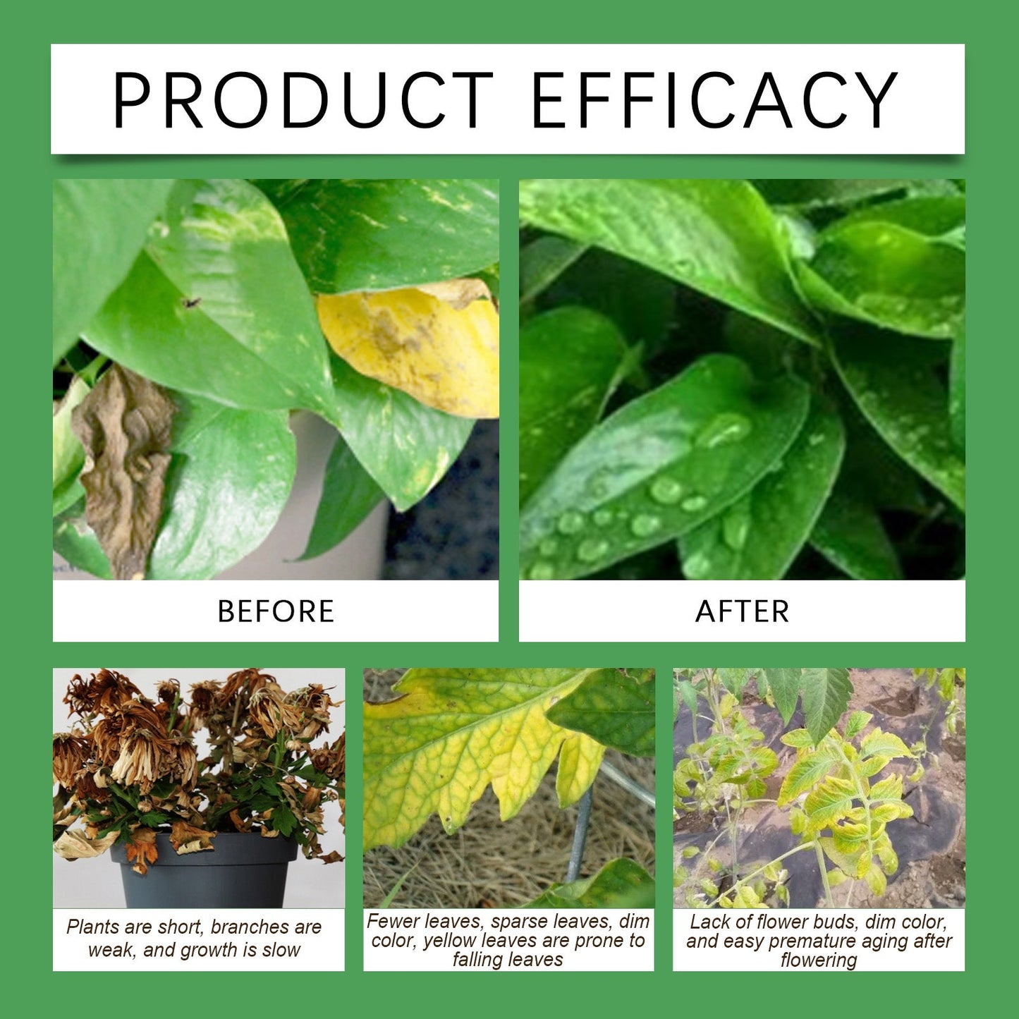 MoonSpry Organic Slow-release Fertilizer Tablets Concentrated Fertilizer Effervescent Tablets for Nutritious Plant Growing in Green Plant Pots
