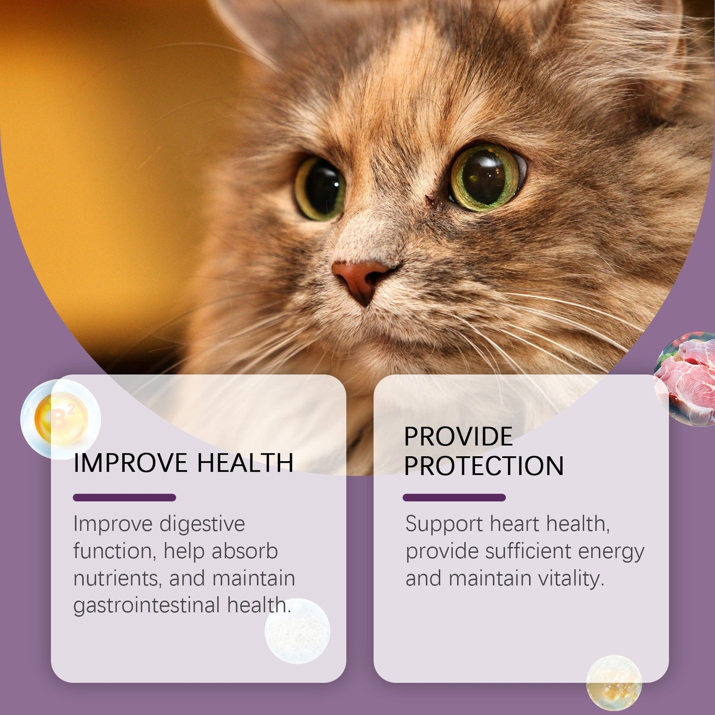 Yegbong Compound Taurine Tablets for Cats Pet nutritional supplement multi-vitamin taurine tablets for cats