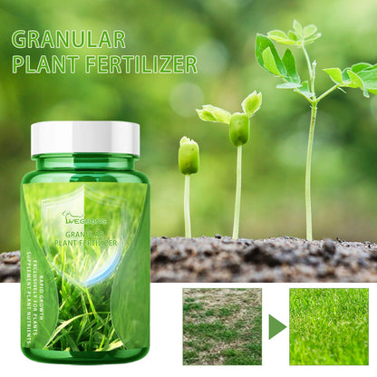 Yegbong Plant Nutrients Flower pot plants, lawn, green leaf plants, fertilizer, root growth nutrient