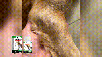 Yegbong Joint care tablets for dogs Joint care tablets for pets and dogs enhance vitality and provide nutritional supplements