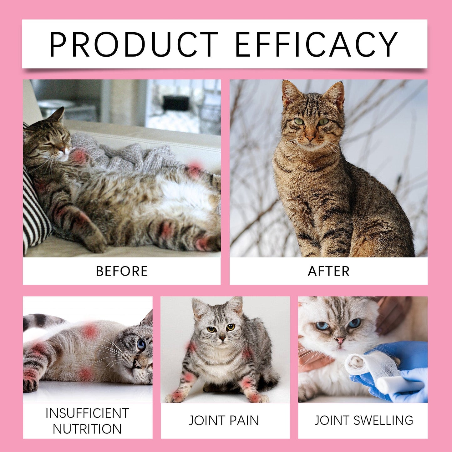 Yegbong Joint care tablets for cats Pet Cat Joint Care: Protecting and Maintaining Pet Joint Health