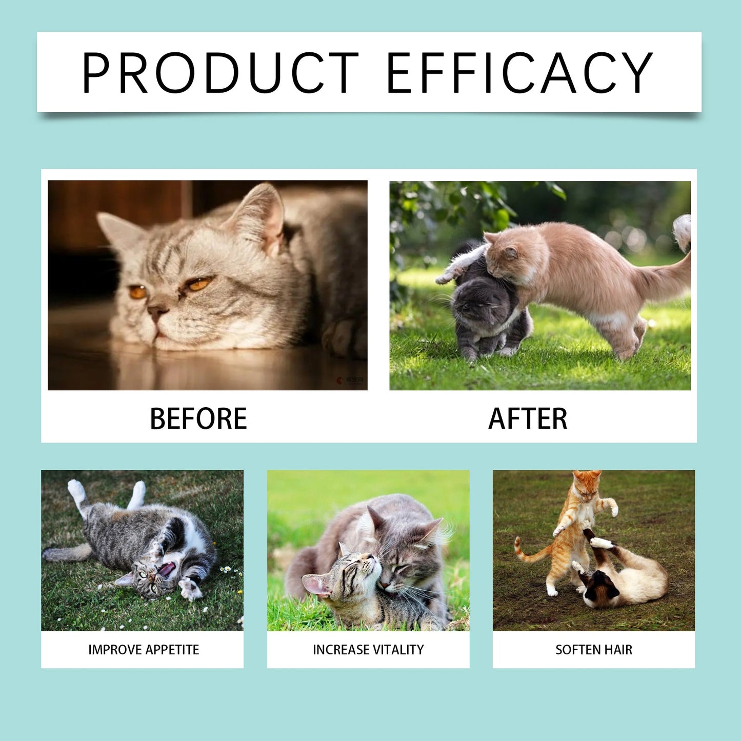 Yegbong Cat Probiotic Tablets Improve intestinal health, balance digestion and absorption, pet nutritional supplements