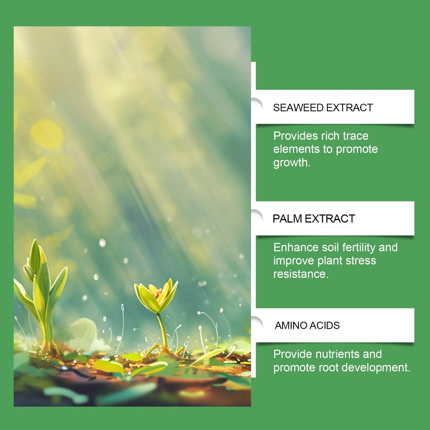 MoonSpry Organic Slow-release Fertilizer Tablets Concentrated Fertilizer Effervescent Tablets for Nutritious Plant Growing in Green Plant Pots