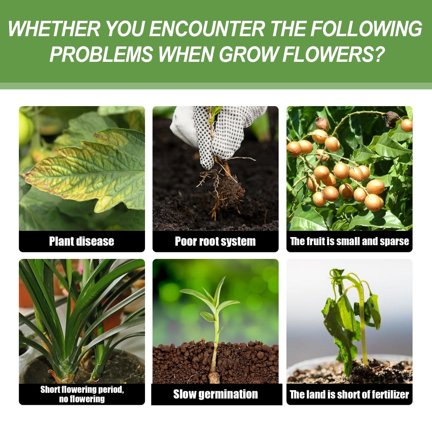 Yegbong Plant Nutrients Flower pot plants, lawn, green leaf plants, fertilizer, root growth nutrient