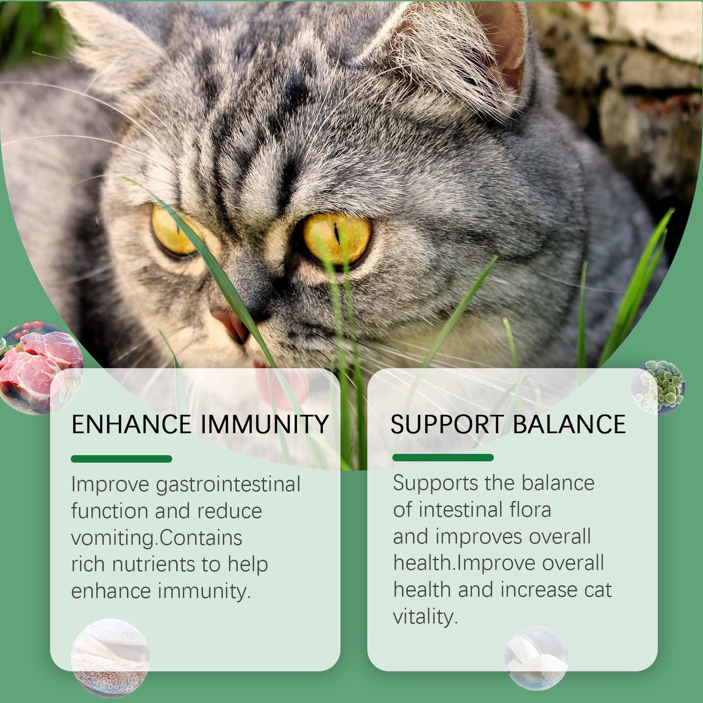 Yegbong Cat grass tablets Nourishing and health-preserving tablets rich in dietary fiber for cats and dogs