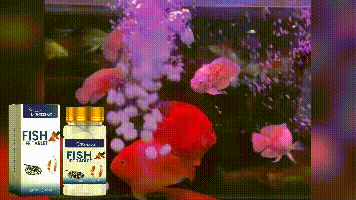 Yegbong Salt tablets for ornamental fish aquariums Aquarium salt, special fish salt for ornamental fish, salt tablets for fish keeping, mineral salt