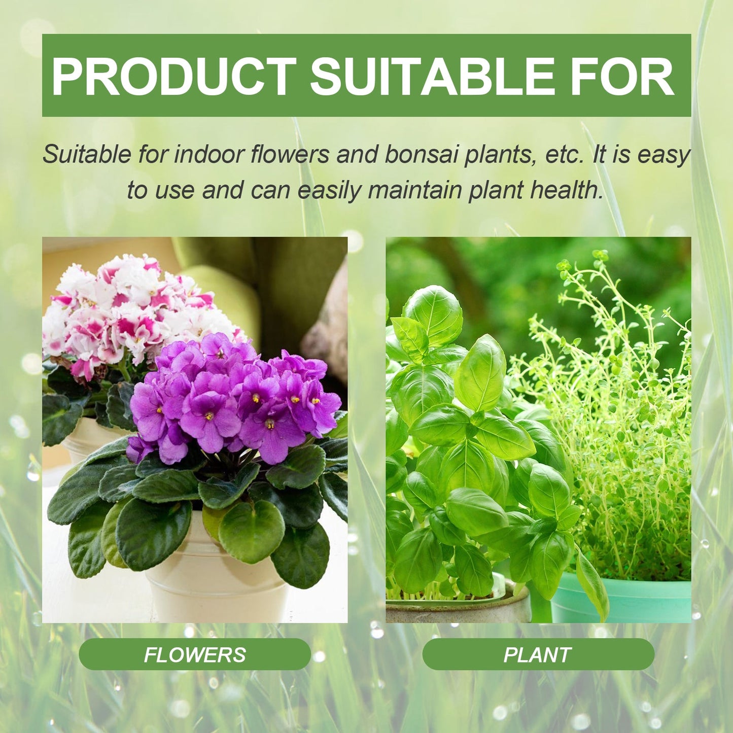 Yegbong Plant Nutrients Flower pot plants, lawn, green leaf plants, fertilizer, root growth nutrient