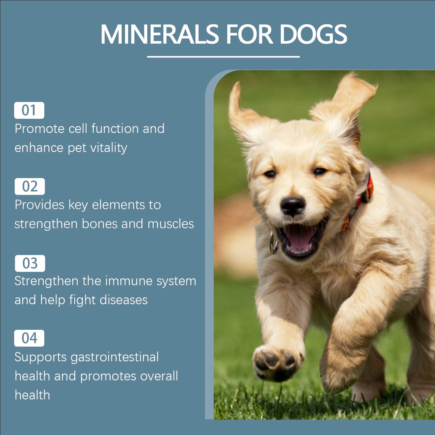 Yegbong Trace element tablets for dogs Supports nerve function and promotes overall health by supplementing calcium and magnesium