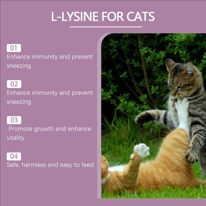 Yegbong Cat ammonia L-Lysine tablets Pet cat body care to maintain the cat's good health